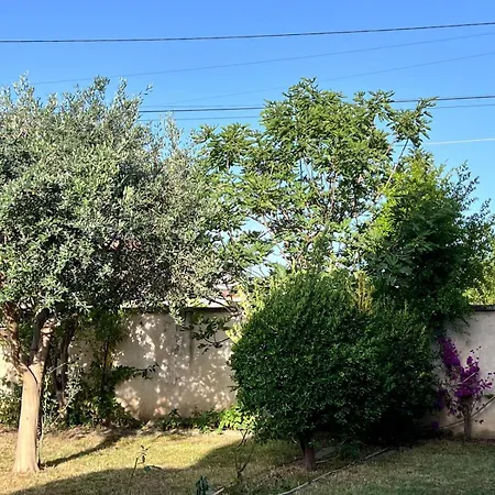 Affittacamere Hasarooms *