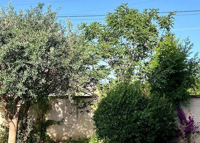 Pensjonat Hasarooms *